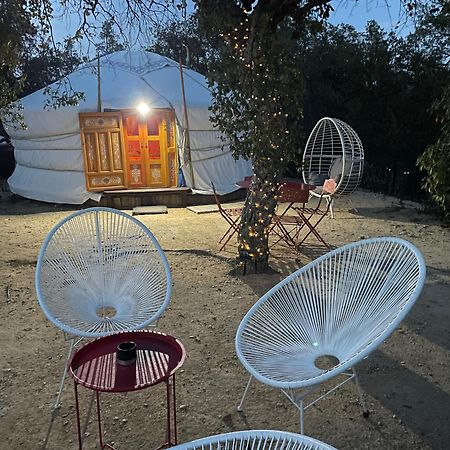לינה וארוחת בוקר Sorède Au Soleil Mongol מראה חיצוני תמונה